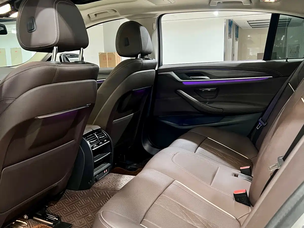 BMW 5 Series 2021 530Li Leading Luxury Package фото 8