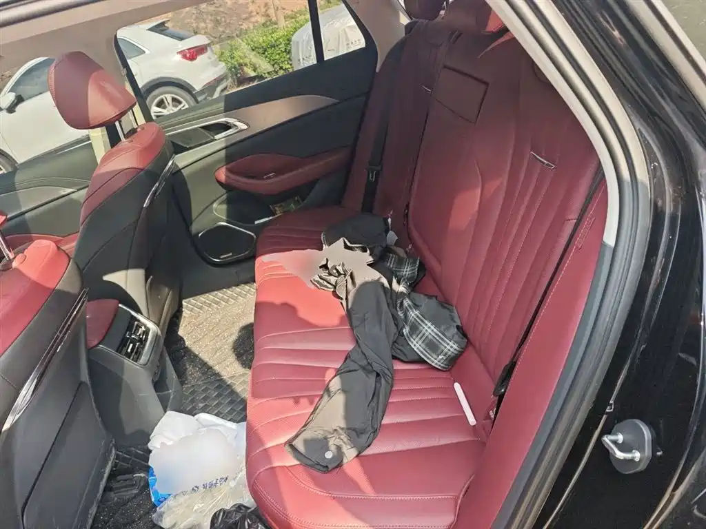 Hongqi H5 2024 2.0T Automatic Smart Connect Flag Smooth Edition фото 14