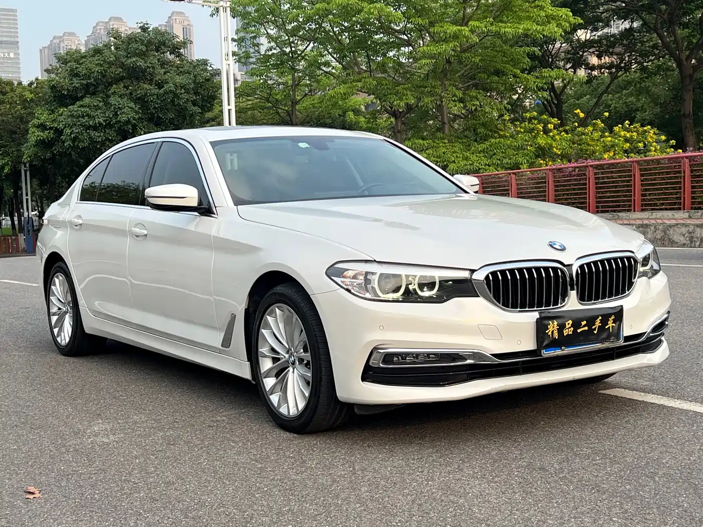 BMW 5 Series 2019 525Li Luxury Package фото 3