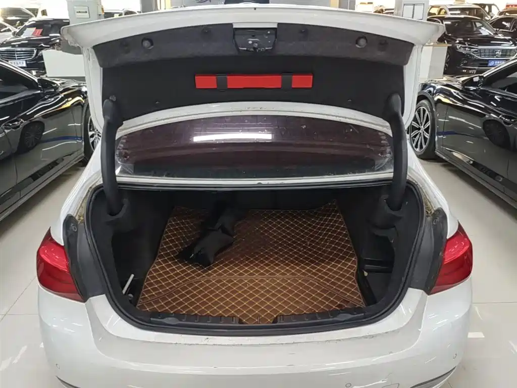 BMW 3 Series 2018 320Li Fashion Style фото 19