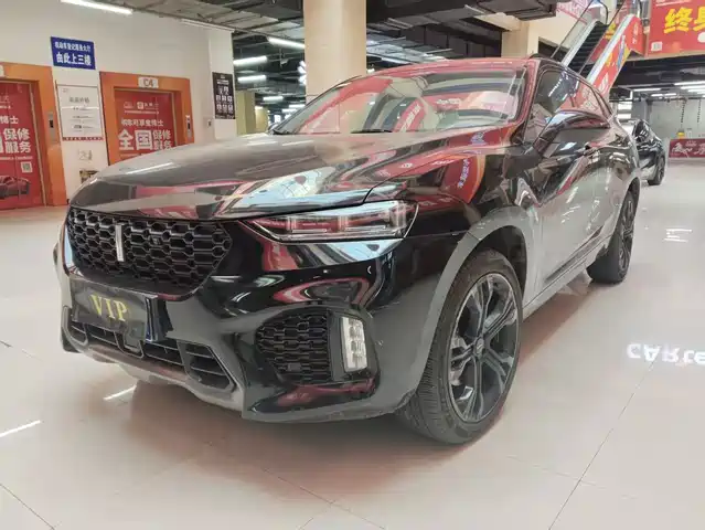 WEI PAI WEI BRAND VV7