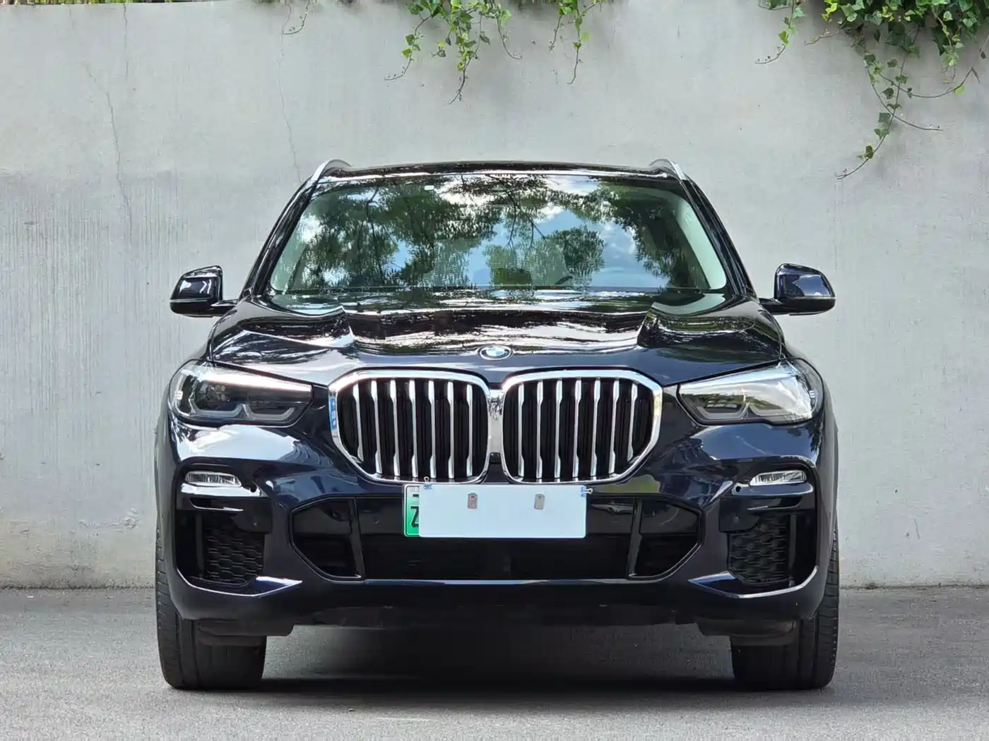 BMW X5 New Energy(Imported) 2020 xDrive45e M Sport Package фото 46