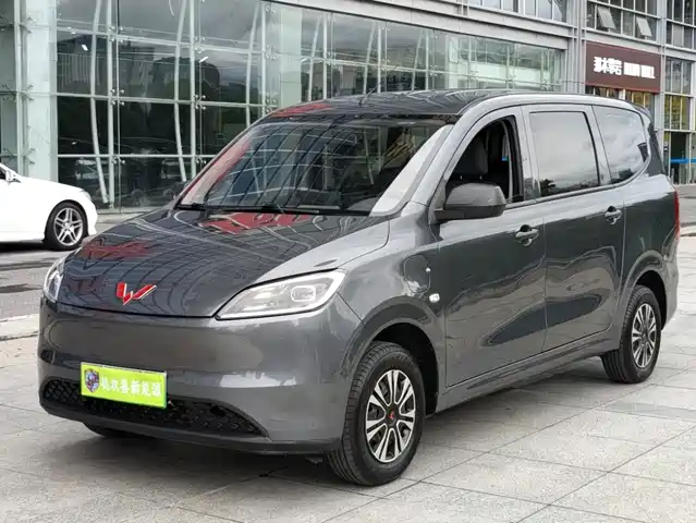  Wuling Motors Wuling Hongguang New Energy 2024 Pure Electric 300KM Standard