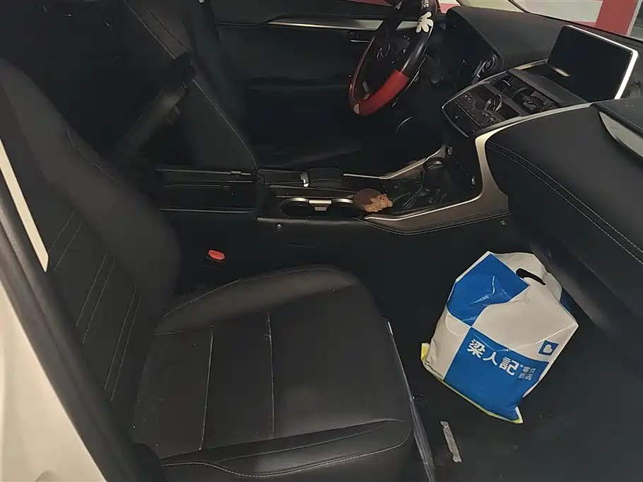 Lexus NX 2018 Model 300h FWD Fengshang Edition China V фото 8