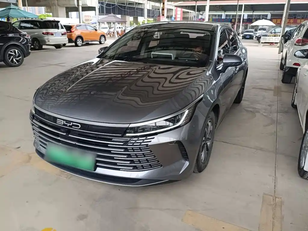 BYD Destroyer 05 2024 Glory Edition DM-i 55KM Luxury