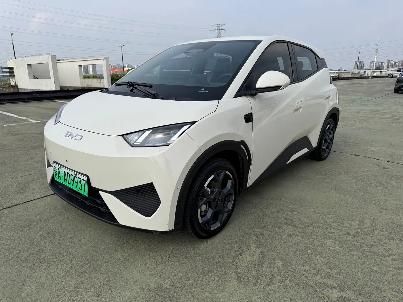 BYD Seagull 2025 Smart Drive Edition 305km Freedom Version