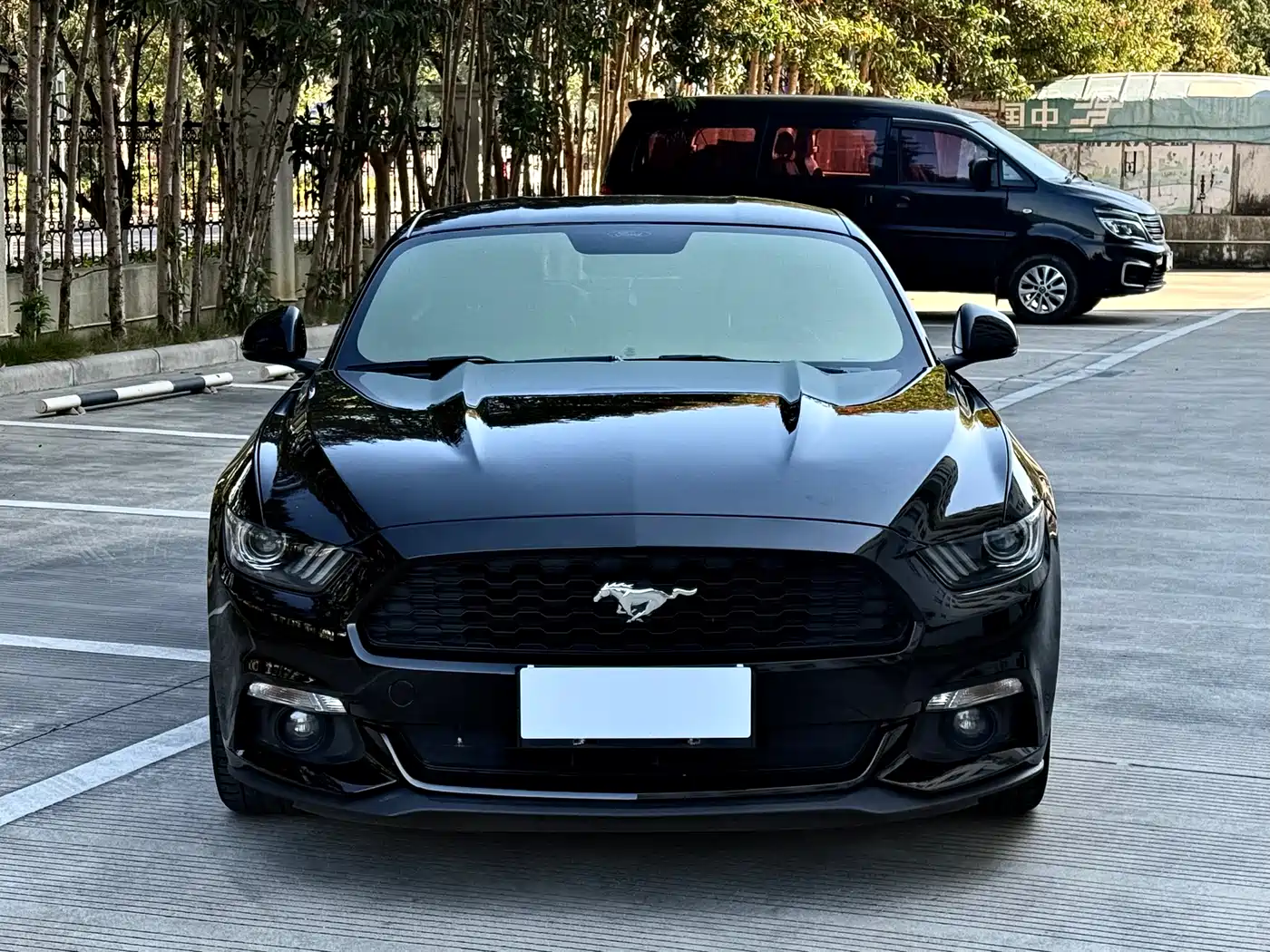 Ford Mustang 2017 2.3T Performance Edition фото 3