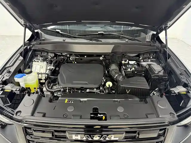 Haval Big Dog 2026 Model 1.5T High Configuration фото 7