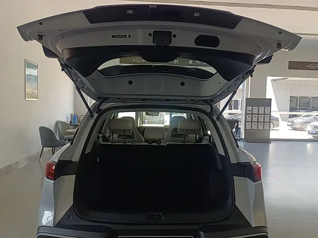 BYD Yuan UP 2025 Smart Drive Edition 401KM Vitality Version фото 19
