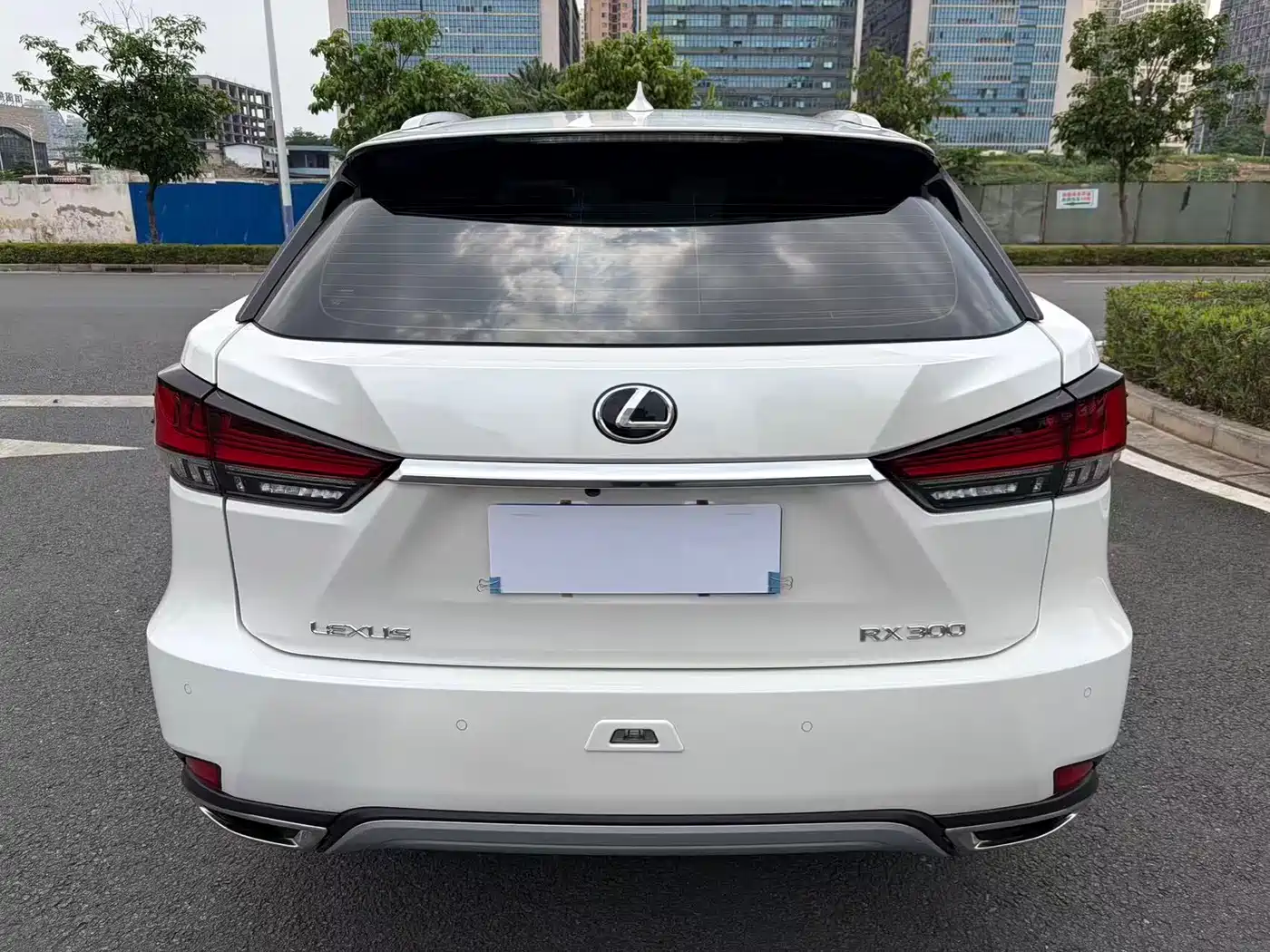 Lexus RX 2020 Facelift 300 2WD Elite Edition фото 5