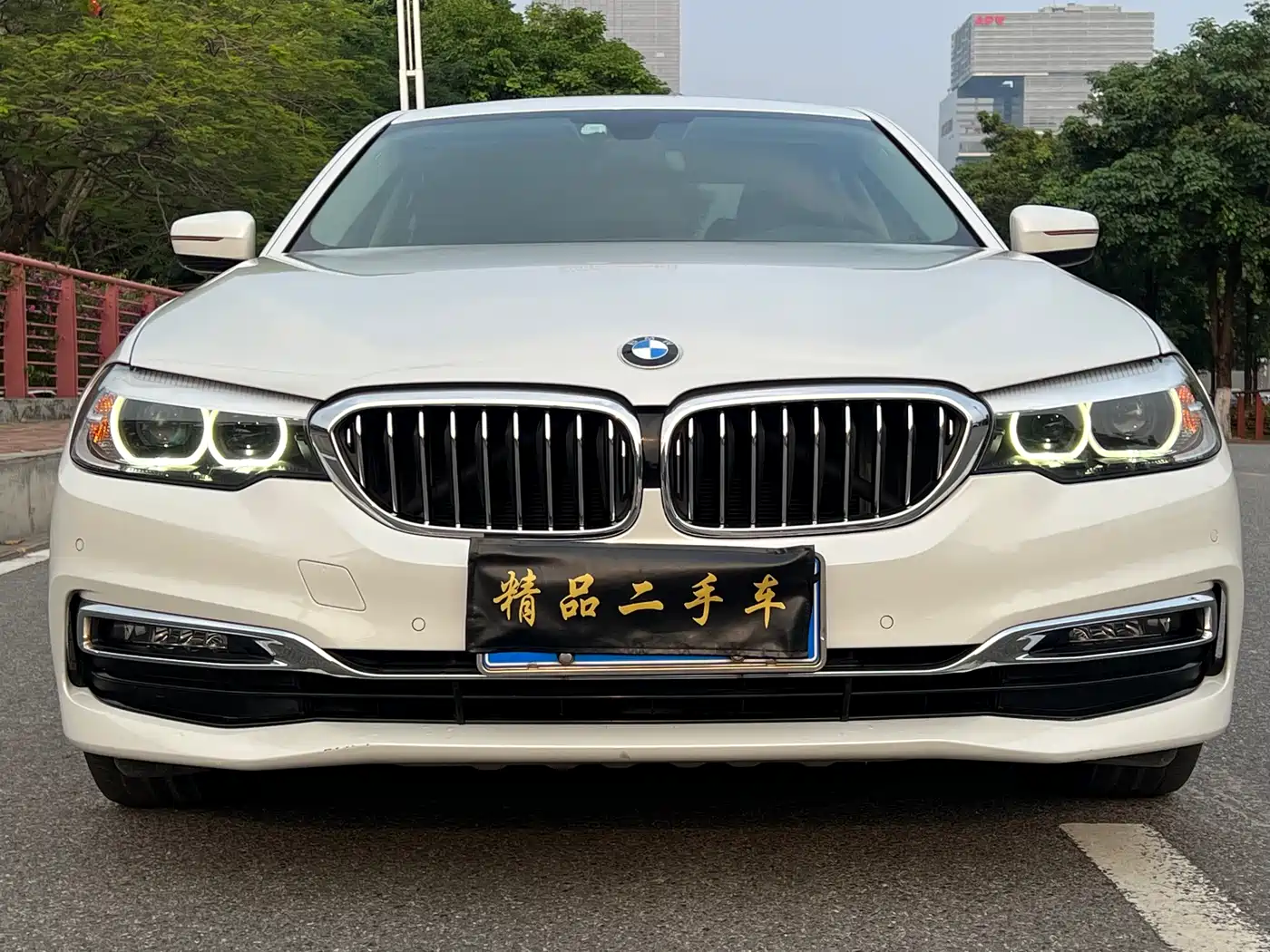 BMW 5 Series 2019 525Li Luxury Package фото 2
