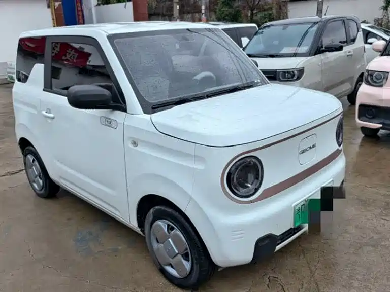 Geely Galaxy Panda 2023 Panda Mini 200km Endurance Bear фото 3