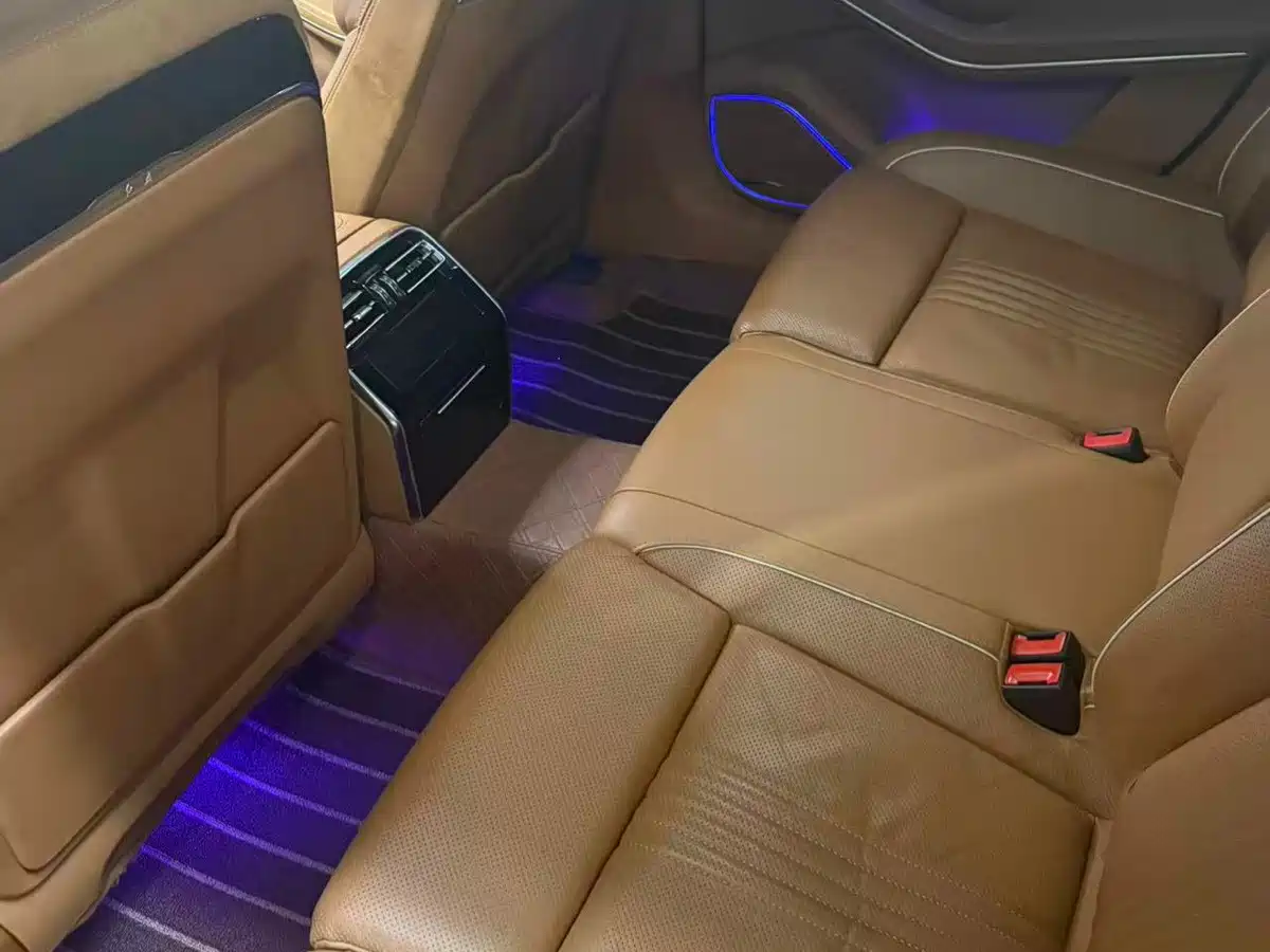 Photo 7 - Hongqi H9