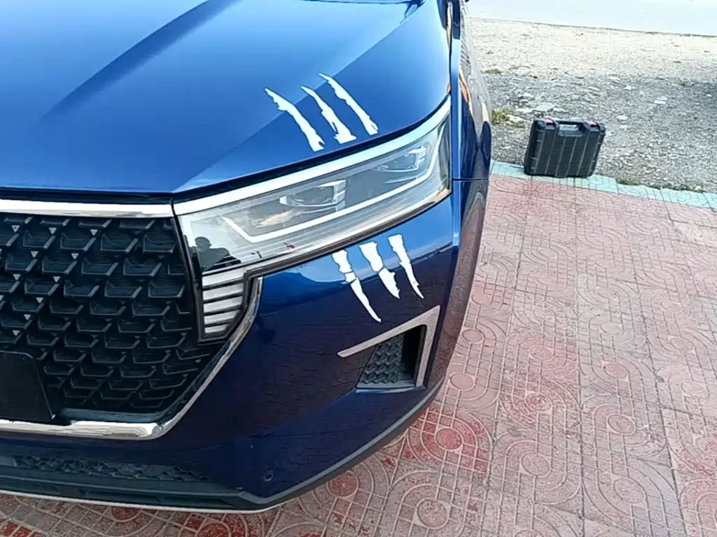 Venucia Star 2022 2021 260T Auto 48V Mild Hybrid Star Edition