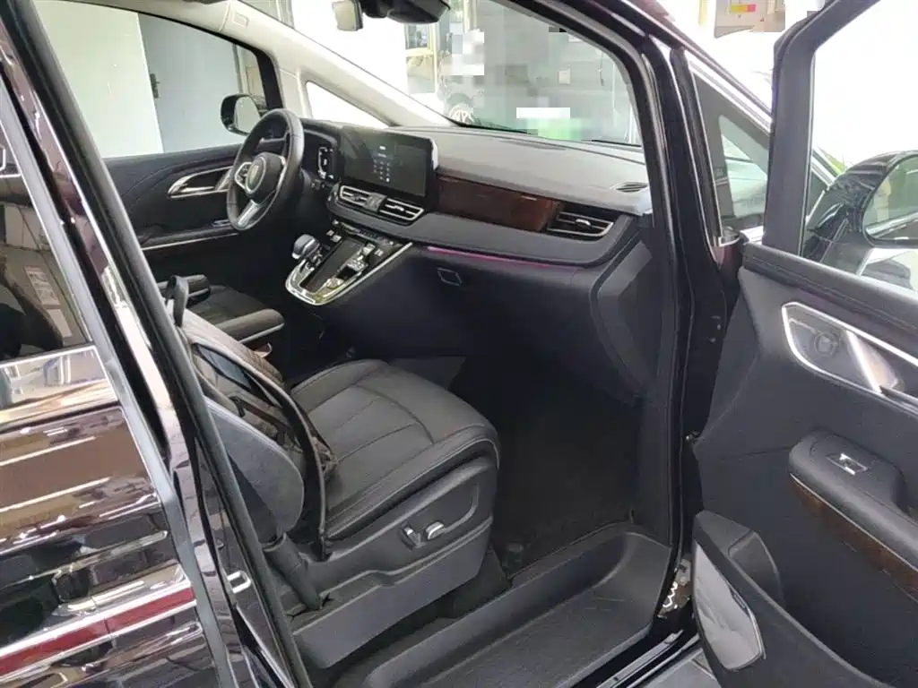 Hongqi HQ9 PHEV 2024 Model 2.0T AWD Luxury Edition фото 11