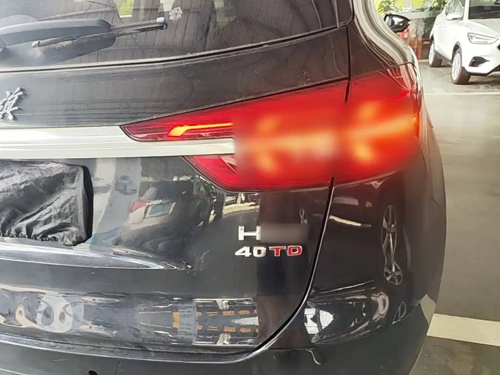 Hongqi HS5 2020 2019 2.0T Smart Connect Enjoy 4WD Edition