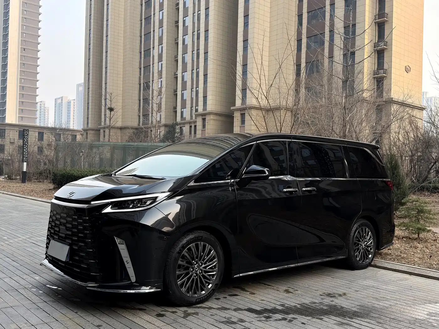 Lexus LM 2023 350h 7-Seater Elegance Edition фото 2