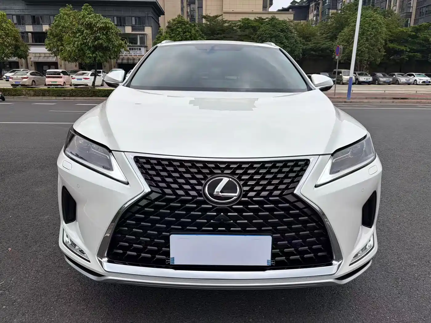Lexus RX 2020 Facelift 300 2WD Elite Edition фото 2