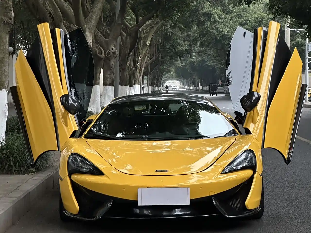 McLaren 570 2015 570S 3.8T Coupe фото 2