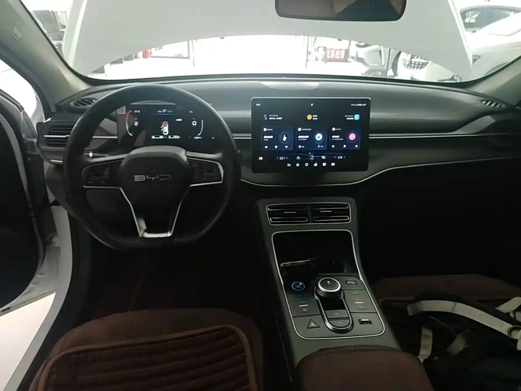 Фото 10 - BYD Destroyer 05
