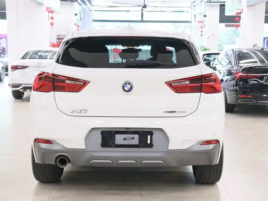 BMW X2 (Import) 2019 sDrive20i M Off-Road Package China VI фото 4