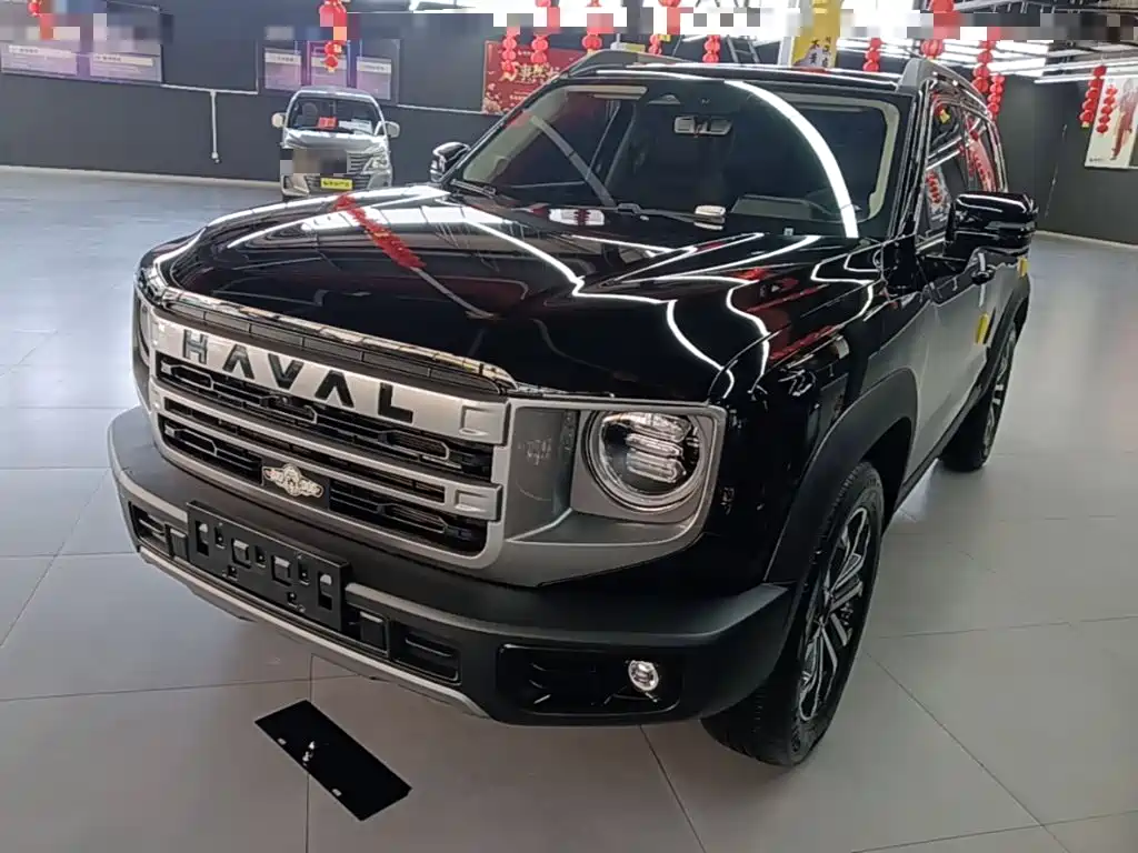 Haval Big Dog 2024 1.5T DCT Border Collie Edition
