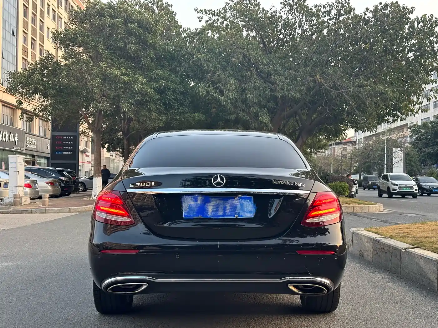 Mercedes-Benz E-Class 2019 E 300 L Fashion фото 8