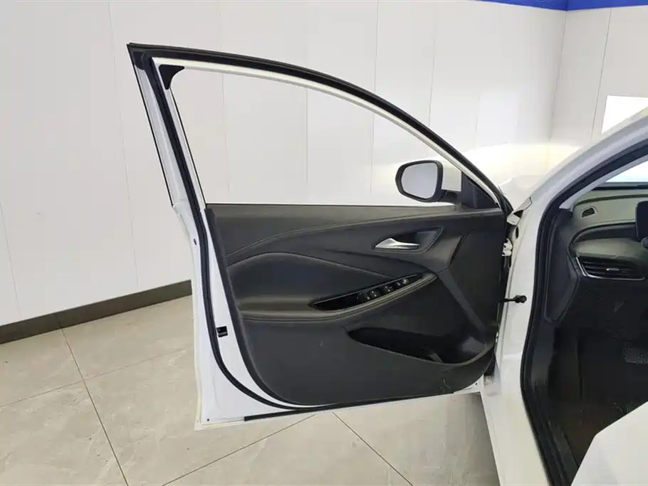 BUICK WEILANG