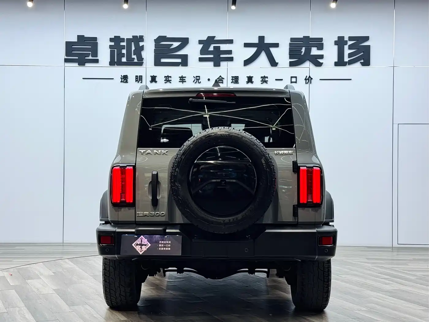 Tank 300 2023 Off-Road Edition 2.0T Conqueror фото 6
