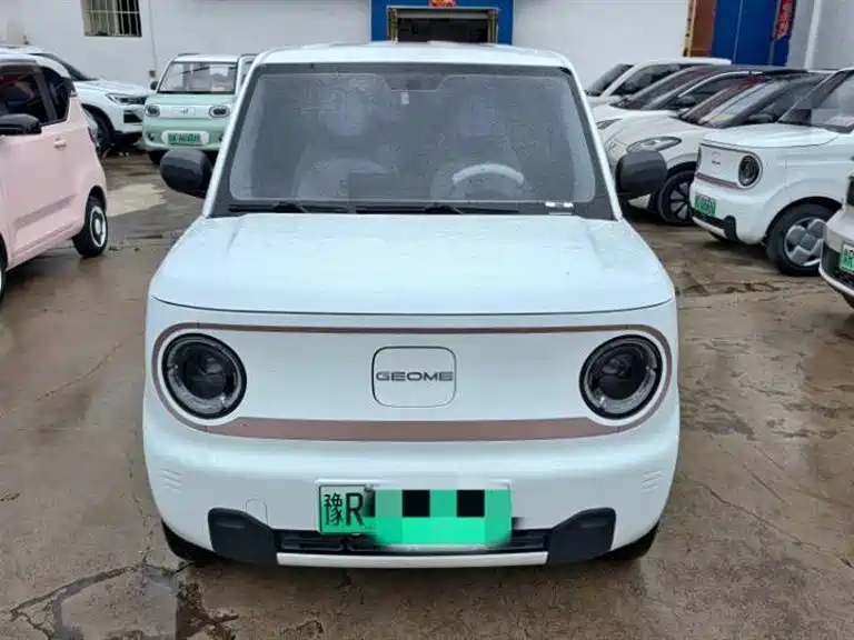 Geely Galaxy Panda 2023 Panda Mini 200km Endurance Bear фото 2