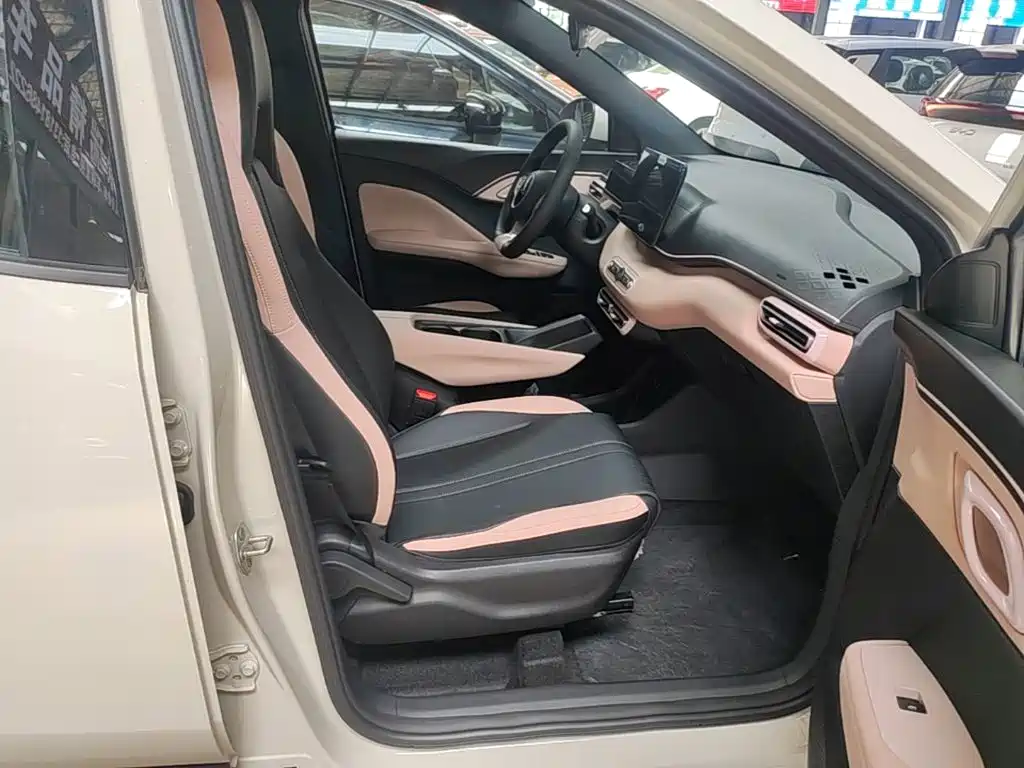 BYD Seagull 2026 2025 Smart Drive Edition 305km Vitality Version