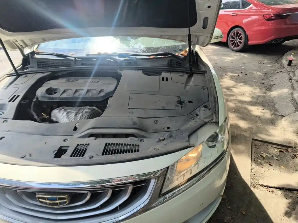 Geely Borui 2015 2015 2.4L Comfort
