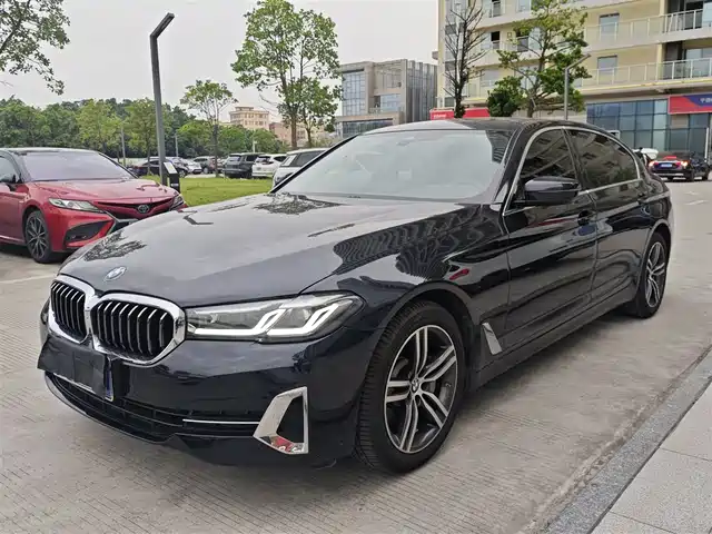 BMW 5 2-й рестайлинг, 530Li, Лидер, Люкс-пакет