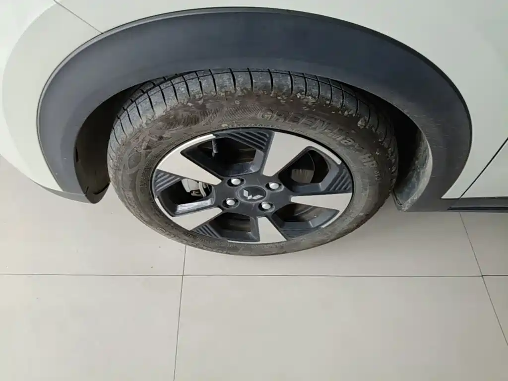 Wuling Motors Wuling Binguo PLUS 2025 2024 Model 330km 5-Seater