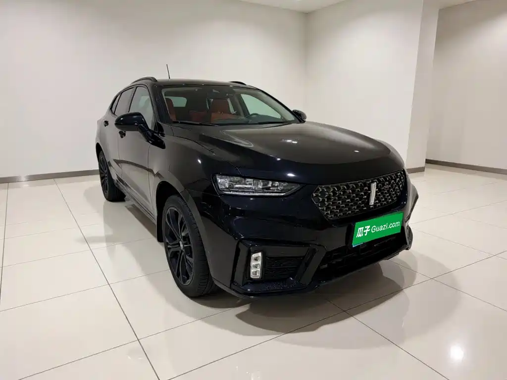 2021 WEY VV7