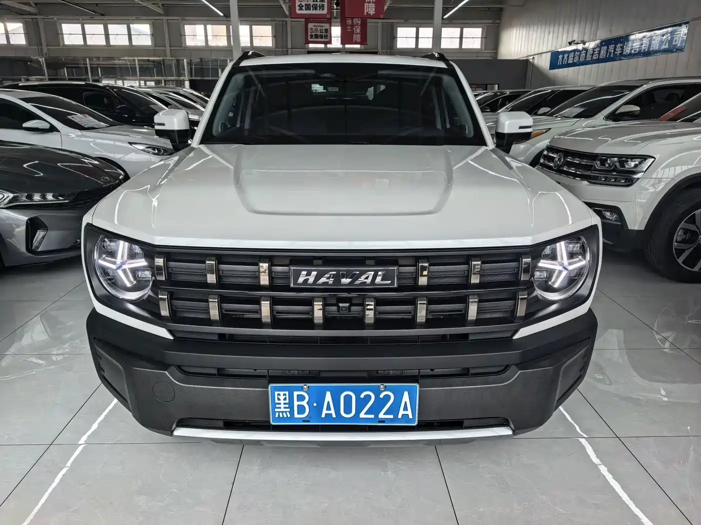 Haval Cool Dog 2023 2022 1.5T DCT 2WD Trend Edition