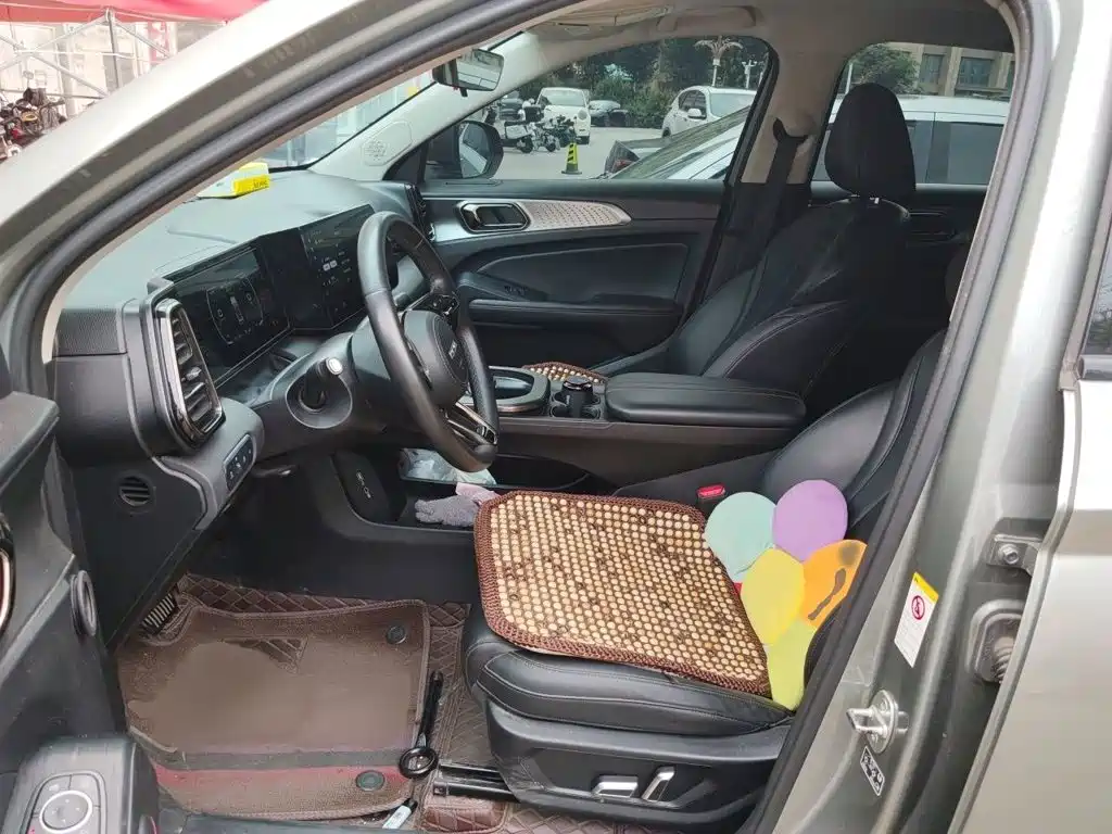 Haval Xiaolong 2024 2023 1.5L 110KM Pilot Edition