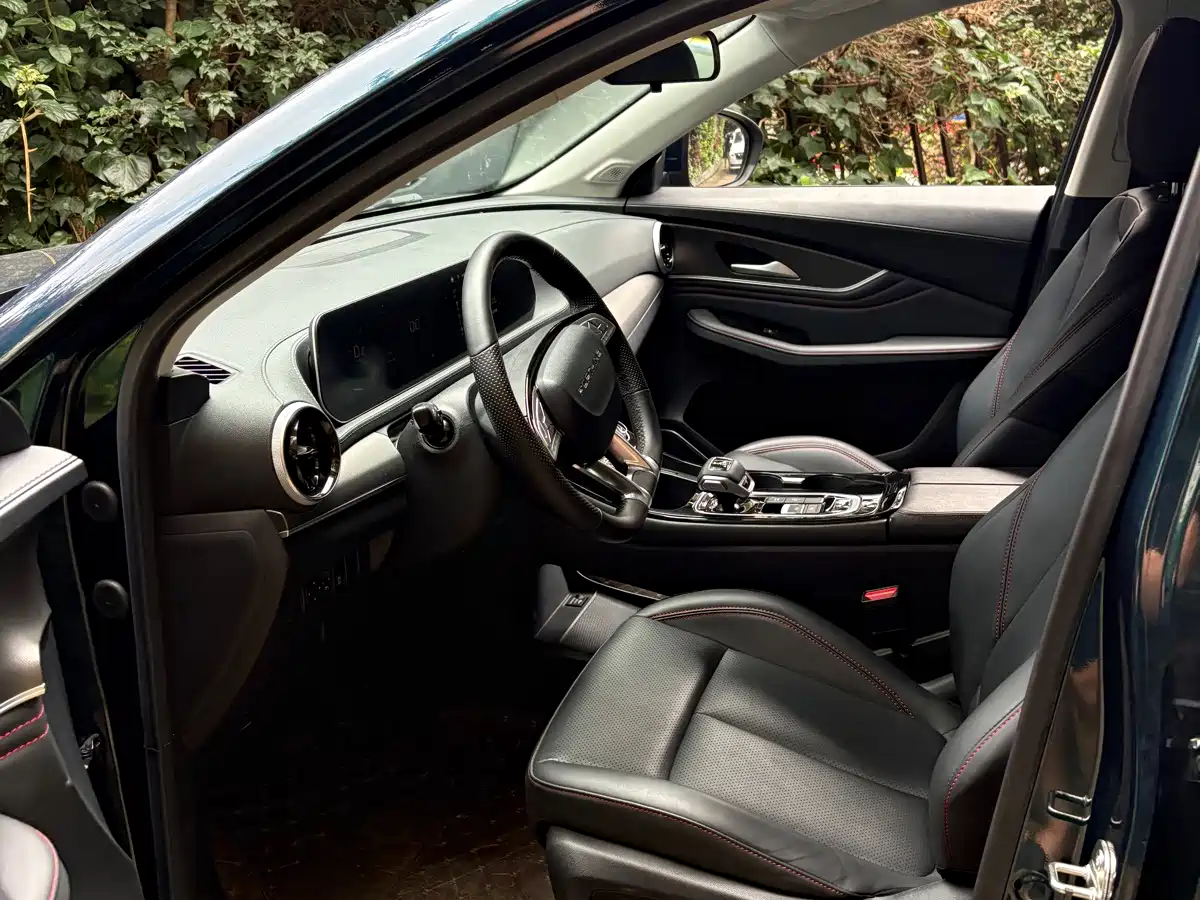 صورة 2 - Dongfeng Fengxing Fengxing T5 EVO