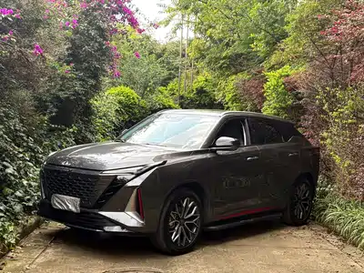 Changan Oshan Z6