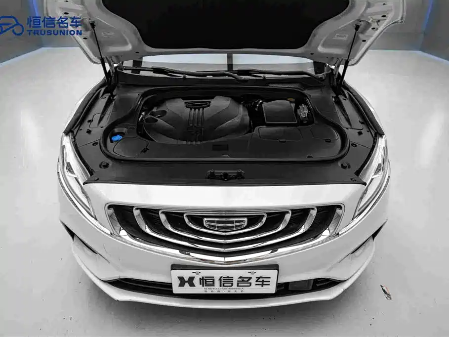 Фото 21 - Geely Borui