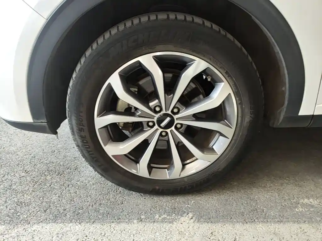 WEY VV6 2018 2018 2.0T 2WD Super Luxury China V