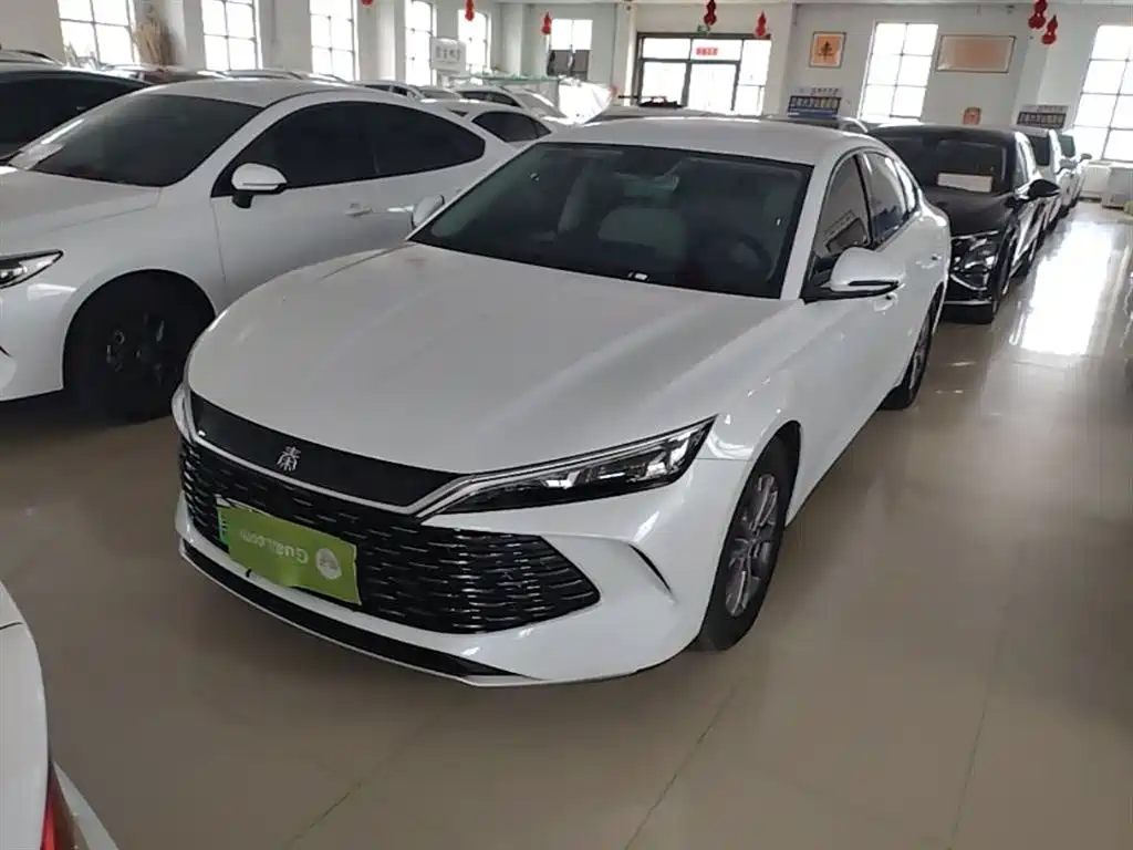 BYD Qin L 2024 DM-i 80KM Leading Edition
