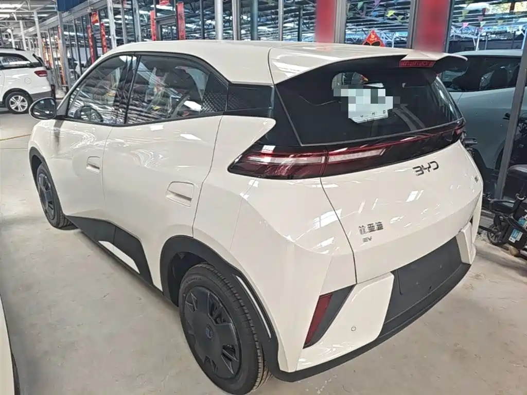 BYD Seagull 2025 Smart Drive Edition 305km Vitality Version фото 23