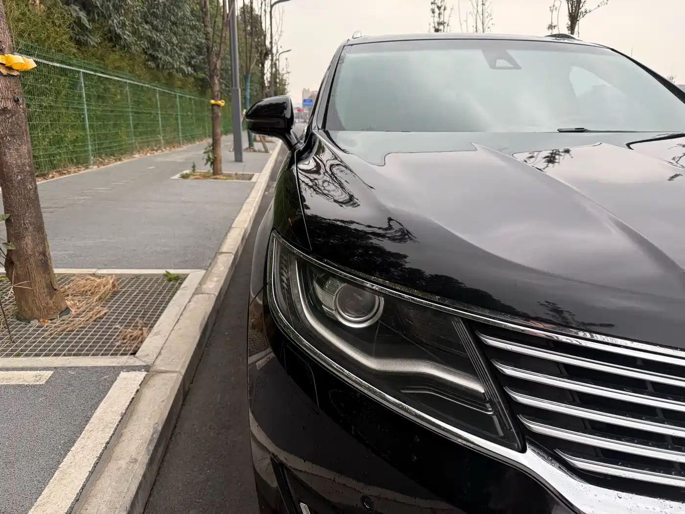 Lincoln MKX 2017 2015 2.0T AWD Elegance Edition