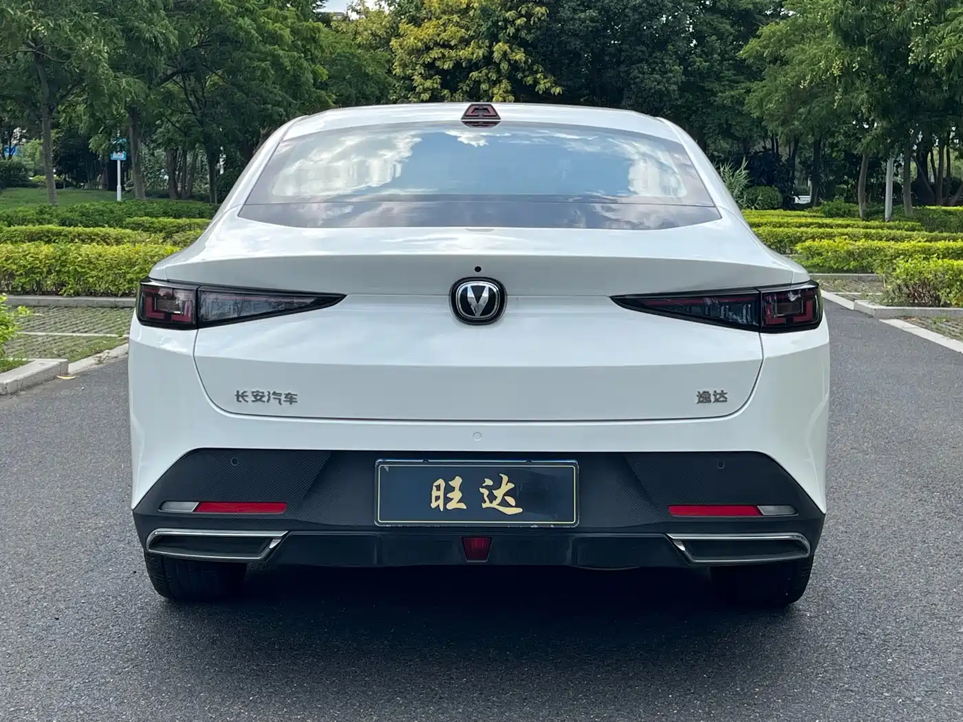 Changan Yida 2023 2023 Blue Whale NE 1.5T GDI DCT Exclusive