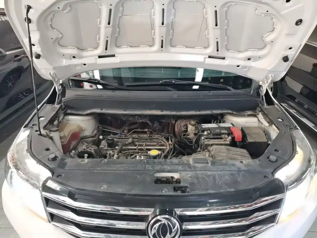 Dongfeng Fengxing Fengxing SX6 2020 2019 1.6L Manual Luxury China VI