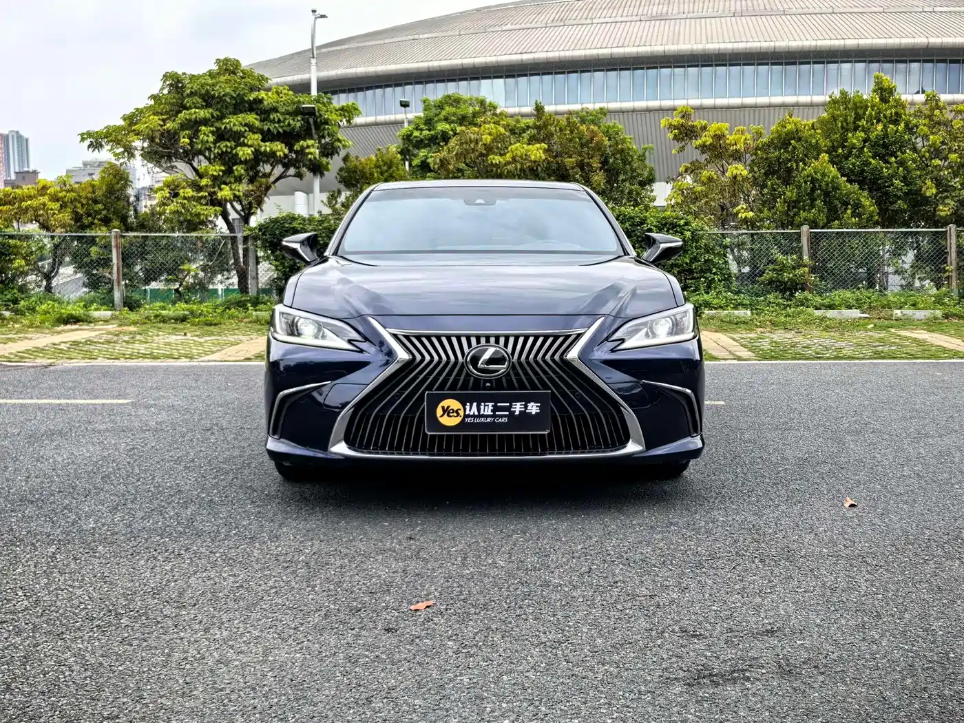 Lexus ES 2020 200 Excellence фото 2
