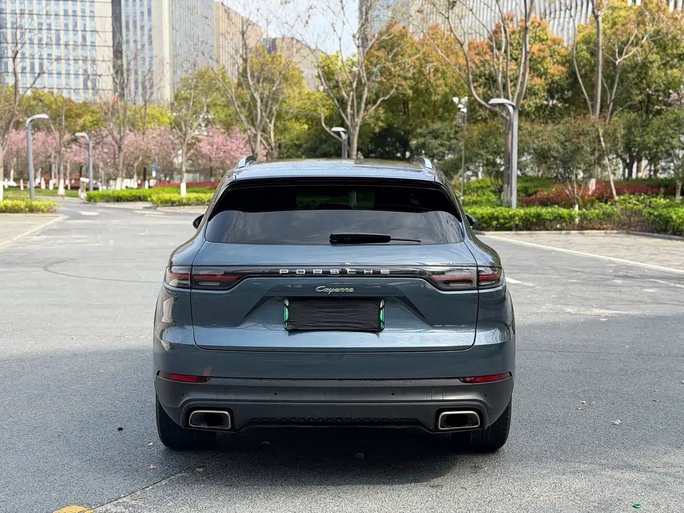 PORSCHE CAYENNE NEW ENERGY