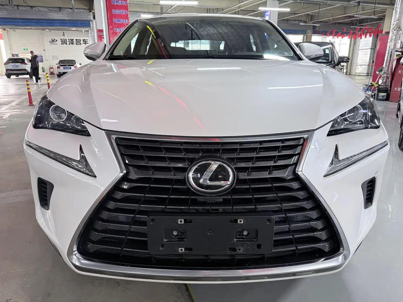 LEXUS NX