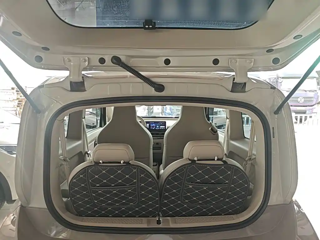 Baojun KiWi EV 2024 2023 DJI Edition LFP